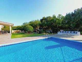 VILLA ANDRONIKI - Fiskardho - 9