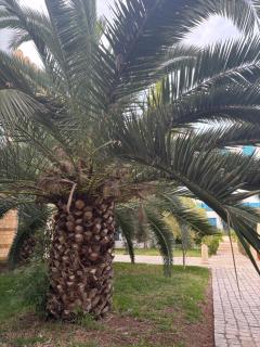 Appartement Yasmine - Yasmine - 4
