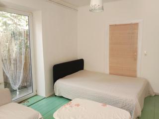 Millstream Apartment - Sankt Veit an der Glan - 1