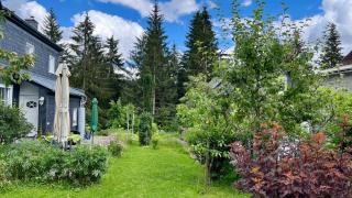 Modernes Wohnstudio im Wald, auf dem Rennsteig Nähe Ilmenau - Ilmenau - 6