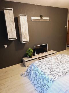 Apartment in Dainava - Kaunas - 4