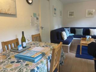 Seaside Bungalow - St Ives - 1