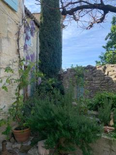 Le Petit Paradis - Boulbon - 4