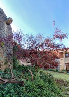 Quinta da Regada - Arcos - 5