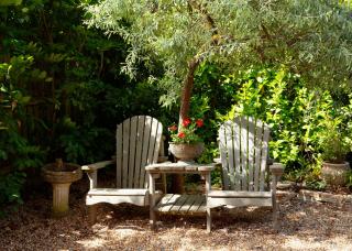 Beautiful New Forest Hideaway - West Wellow - 1