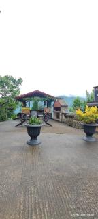 Yeşilköy pansiyon bungalov - Çamlıhemşin - 1