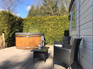 Great Chalet Veluwe with Private Hottub and Big Garden - Voorthuizen - 5