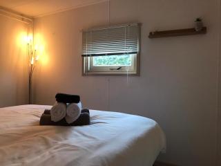 Great Chalet Veluwe with Private Hottub and Big Garden - Voorthuizen - 4