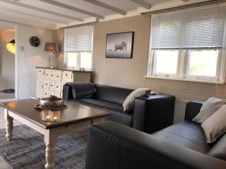 Great Chalet Veluwe with Private Hottub and Big Garden - Voorthuizen - 3