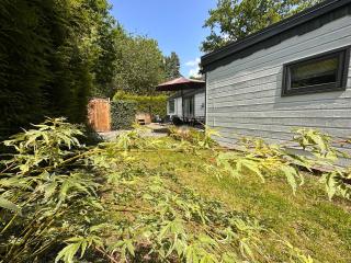 Great Chalet Veluwe with Private Hottub and Big Garden - Voorthuizen - 2