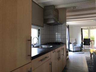 Great Chalet Veluwe with Private Hottub and Big Garden - Voorthuizen - 1