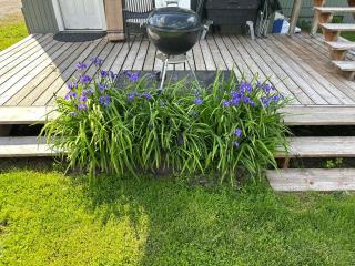 Bear Mountain View 4BR Home- Only 25 Min from Anchorage, Great Central location ,- 5 star property - 2