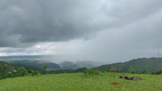 LJIST Homestay - 4