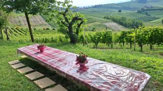 Cà Trifolera Barbaresco Apartament nelle Langhe - DEGUSTAZIONE VINI NELLA NOSTRA CANTINA - Barbaresco - 1