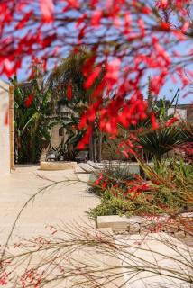 Masseria Limetta - Luxury Retreat - Acquarica - 3