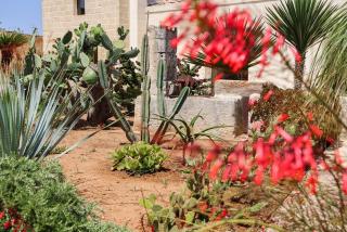Masseria Limetta - Luxury Retreat - Acquarica - 2