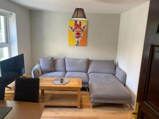St Patricks Avenue apartment - Galway - 0