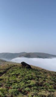 Tranquil Retreat - Avathi - 9
