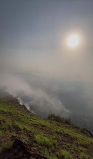 Tranquil Retreat - Avathi - 3