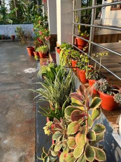 Tranquil Retreat - Avathi - 2