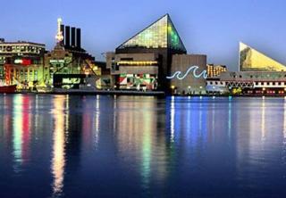 501 Cozy Apartment near Baltimore Inner Harbor!!! - Baltimora - 2