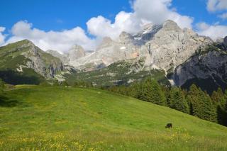 Baita Valon - Alpine Hideaway - Comano Terme - 4