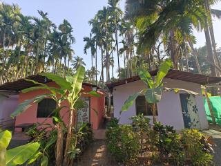 Baadal Pani Beach Resort Near Kelwa Beach - Dāndepāda - 4