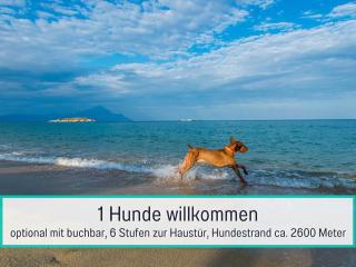 Familienglück - Viel Platz für Familien mit Hund - Zinnowitz - 0