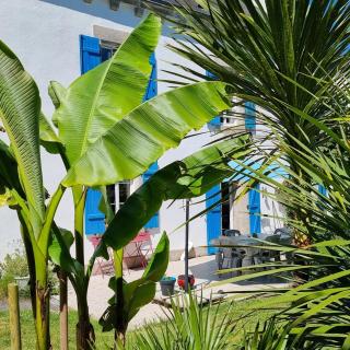 Nuances bretonnes - Elliant - 8