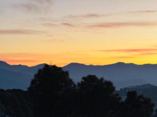 The Hill Paradise - Cafe & Resort - Almora - 4