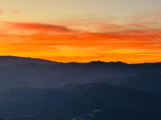 The Hill Paradise - Cafe & Resort - Almora - 3