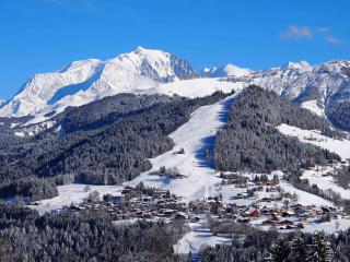 Charmant appart 4/5 pers au pied des pistes avec balcon, Wifi, parking, animaux OK - FR-1-505-65 - Notre-Dame-de-Bellecombe - 1