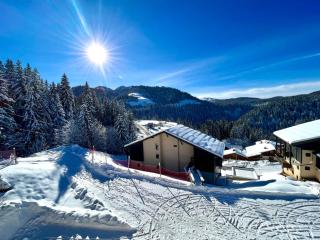 Charmant studio au pied des pistes, animaux admis - FR-1-505-79 - Notre-Dame-de-Bellecombe - 3