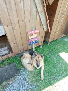 Cabana 7 com Ar condicionado e area de cozinha e banheiro compartilhado a 10 minutos do Parque Beto Carrero - 4