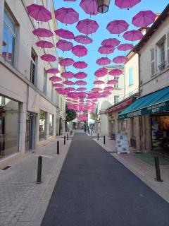 Périgueux, au cœur de l'histoire - Périgueux - 6