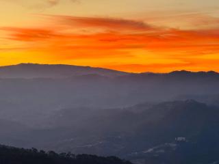The Hill Paradise - Cafe & Resort - Almora - 1