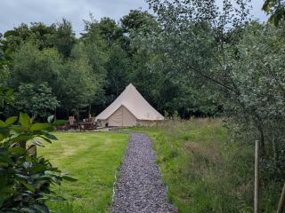 The Cozy - Killeagh - 9