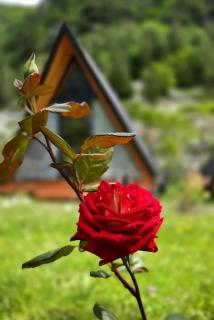 Thethi Sky Lodge House 2 - Theth - 5