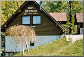 Penzion pod Lysou horou - Malenovice - 0