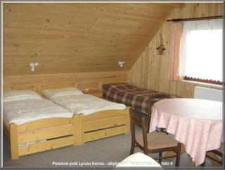 Penzion pod Lysou horou - Malenovice - 5