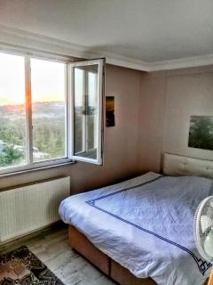 forest villa, 6 minutes from the airport - Taşoluk - 3