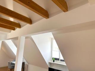 bella casa-Business&Family,100m zum Konzerteingang Schloß, Parkplatz, SmartTV, Netflix, Waschmaschine, 24h Checkin, 30qm, AP 15 - Ludwigsburg - 6