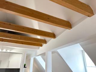 bella casa-Business&Family,100m zum Konzerteingang Schloß, Parkplatz, SmartTV, Netflix, Waschmaschine, 24h Checkin, 30qm, AP 15 - Ludwigsburg - 5