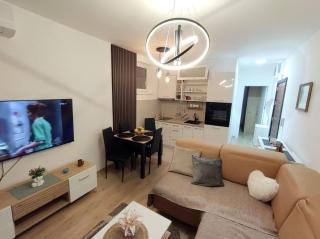 Apartman Jeca - Vrnjačka Banja - 9