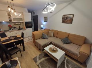 Apartman Jeca - Vrnjačka Banja - 1