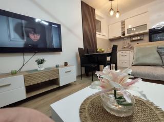 Apartman Jeca - Vrnjačka Banja - 4