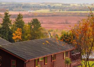 Trossachs Holiday Park - Gartmore - 7