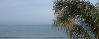 Palmar Boutique Hotel - 1