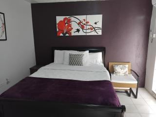The Studio apartment at Csompó Silver Manor - Kupuis - 1