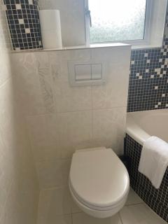 Cheerful 2 bedroom flat with free parking - Edimburgo - 1